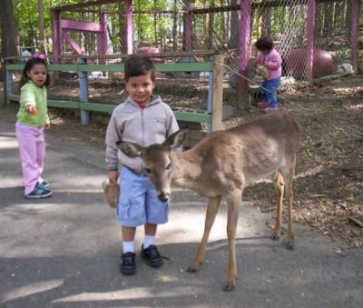 Matthew Meets Deer